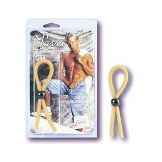 The lasso