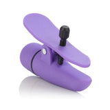 Nipplettes Purple Nipple Clamps