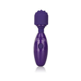 Tiny Teasers Nubby Purple Wand Massager