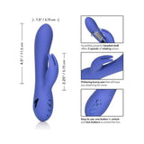 California Dreaming Beverly Hills Bunny - Purple