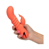 Cali Dreaming Orange County Cutie