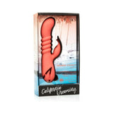 Cali Dreaming Orange County Cutie