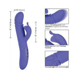 Shameless Seducer Purple Rabbit Style Vibrator