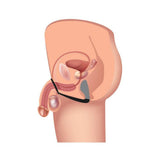 Explorer II Prostate Stimulator & Cock Ring Black