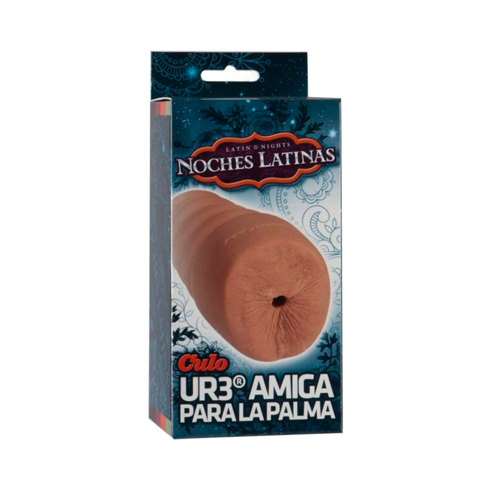 Noches Latinas Ur3 Palm Pal Ass