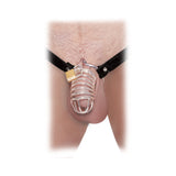 Fetish Fantasy Extreme Extreme Chastity Belt - Black