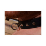 Rouge O-ring Studded Collar (thinner) Black
