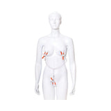 Triple Your Pleasure Nipple & Clitoral Clamps & Chain