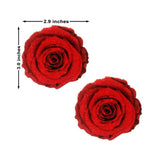 Neva Nude Pasties Enchanted Red Rose Glitter Velvet