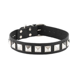 Leather Collar 1 Inch With Assorted Studs