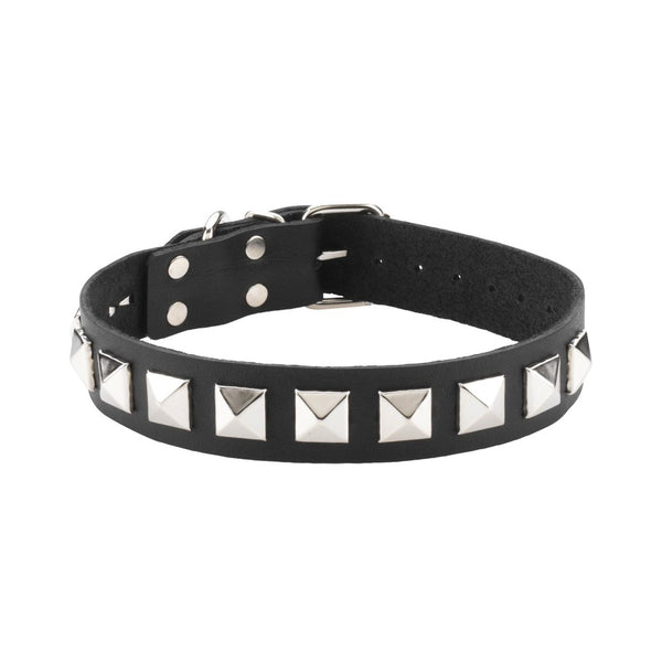Leather Collar 1 Inch With Assorted Studs