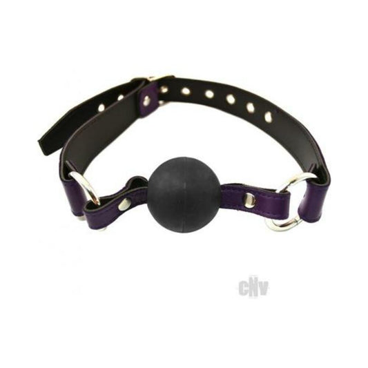 Rouge Ball Gag Purple