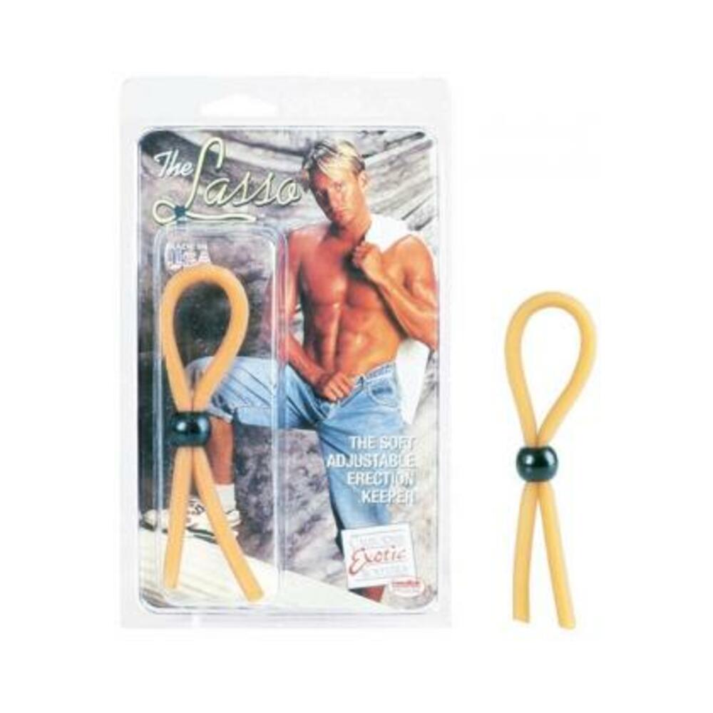 The lasso