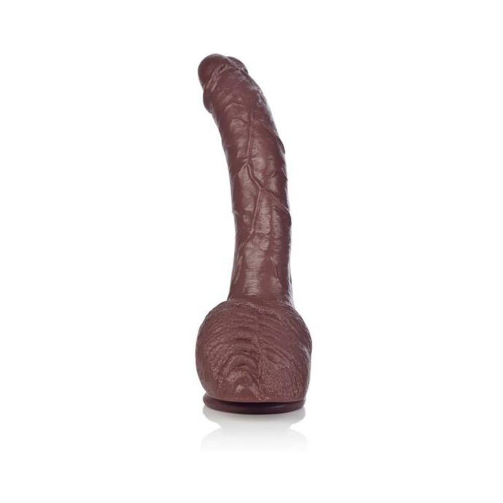 COLT ADAM DEXTER DONG