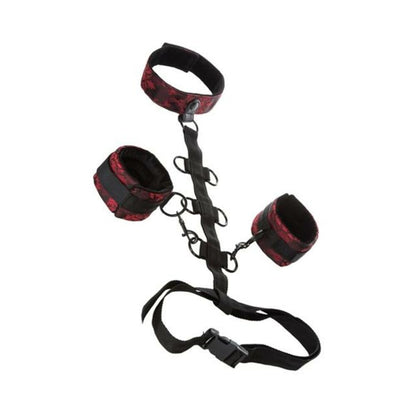 Scandal Collar Body Restraint