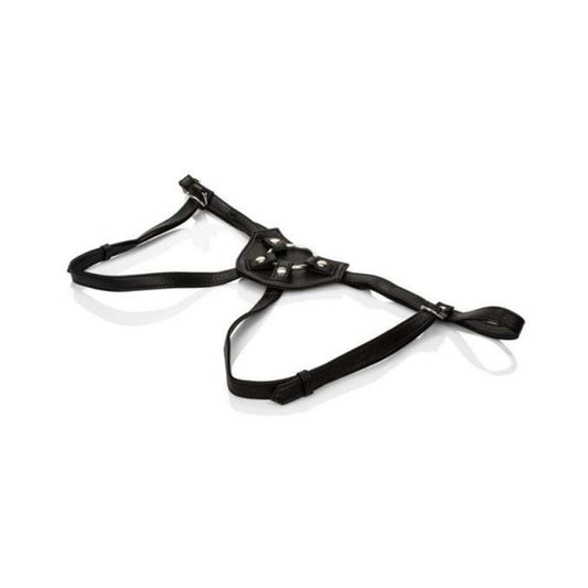 Her Royal Harness Countess Black O/S Boxed