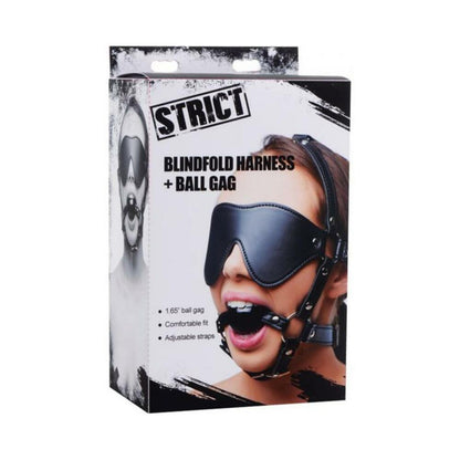 Blindfold Harness + Ball Gag