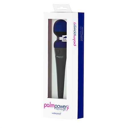 Palmpower Recharge Massager Blue