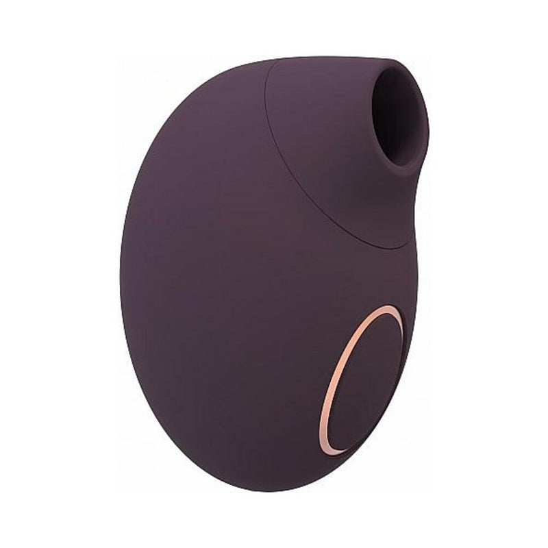 Irresistible Seductive Purple Vibrator