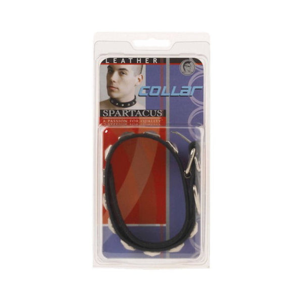 Leather Collar 1 Inch With Assorted Studs