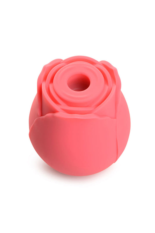 Gossip Rose Crave Pink