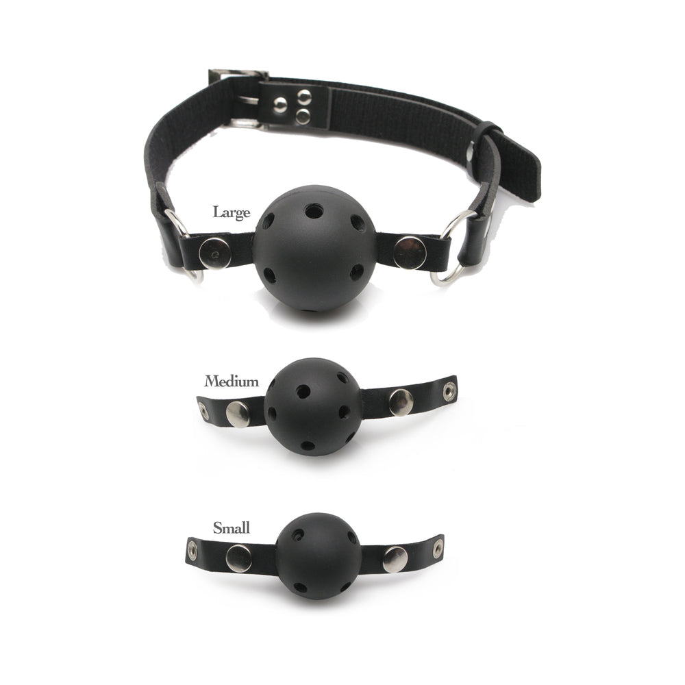 Ff Ball Gag Training System