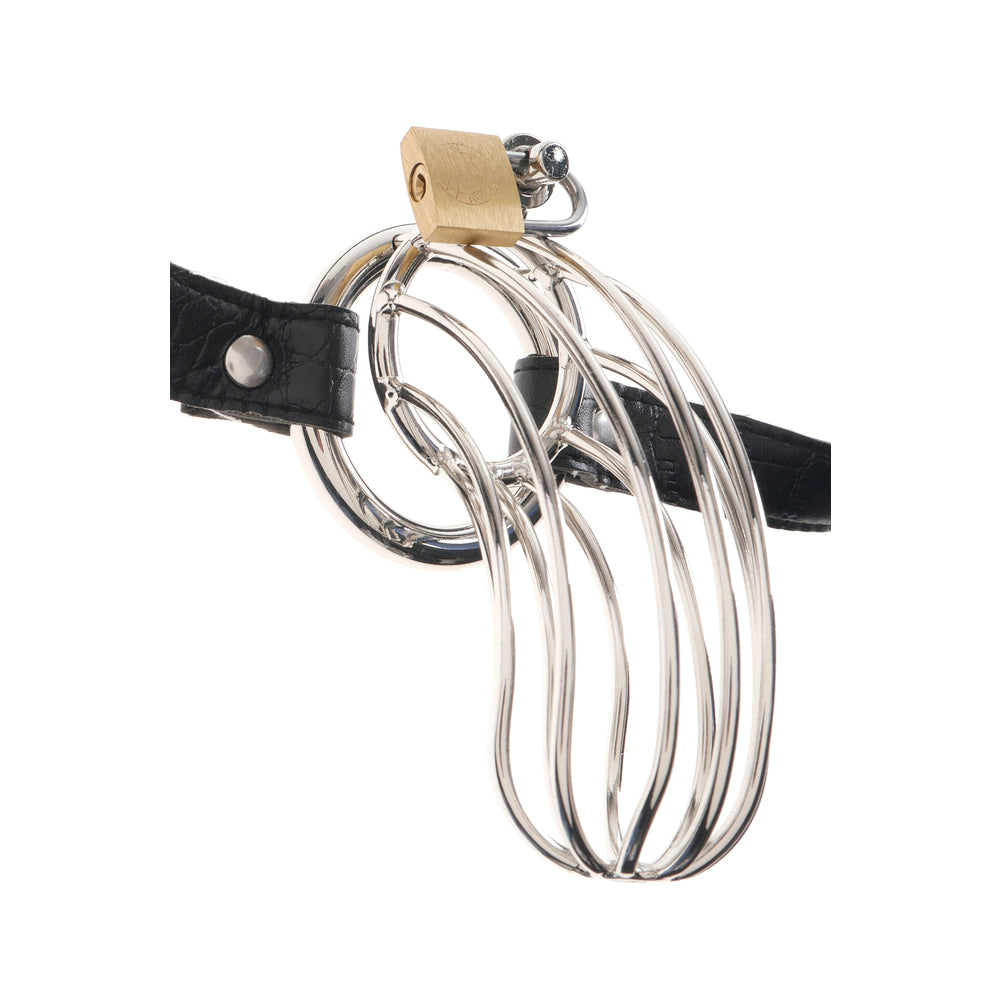 Fetish Fantasy Extreme The Prisoner Metal Cock Cage