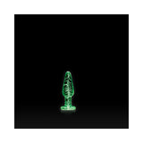 Firefly Glass - Tapered Plug - Small - Clear