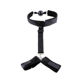 Ff Gag and Wrist Restraint